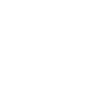Sprintus