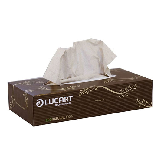 Lucart Econatural 100V dvoslojne ekološke maramice u kutiji 100/1