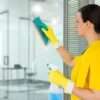 KIT Clean Glass komplet za stakla /Nosač + 5 navlaka/