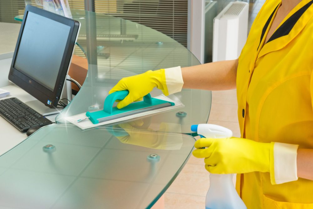 KIT Clean Glass komplet za stakla /Nosač + 5 navlaka/